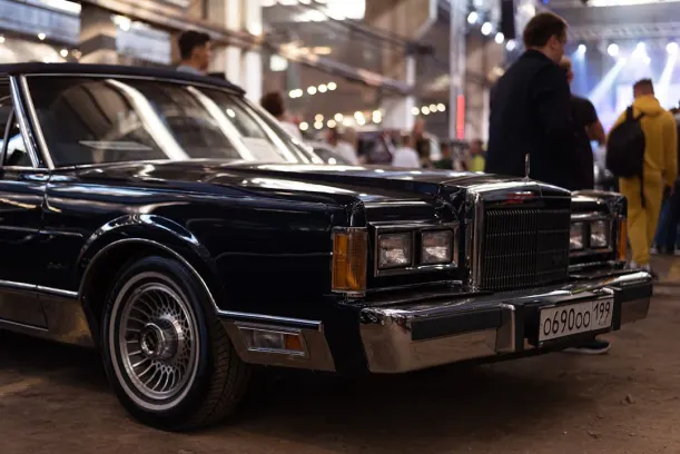 Casino Wild Jack App Android/iOS